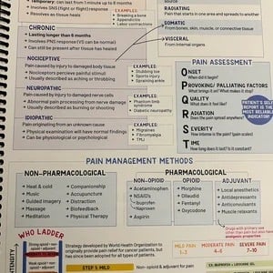 📒Nursing School Notes Success 🥼🩺