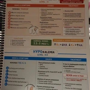 📒Nursing School Notes Success 🥼🩺