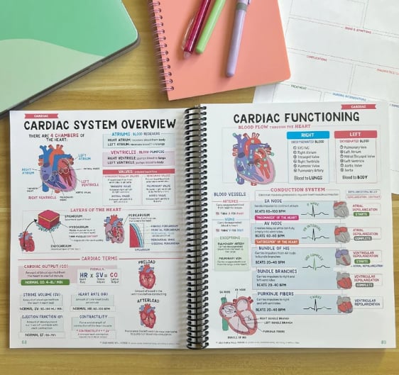 📒Nursing School Notes Success 🥼🩺