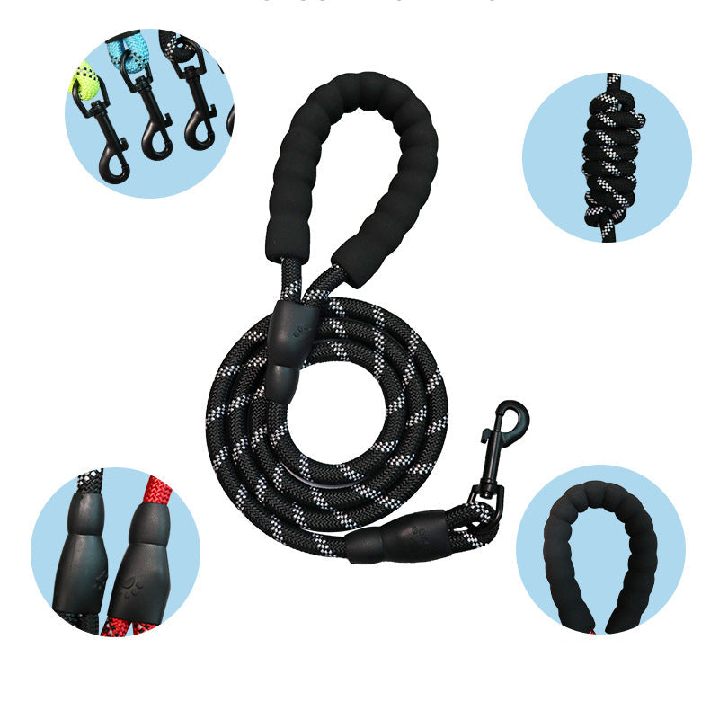 3 in 1 Walk Kit for Pet