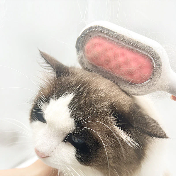 ✨🧸Pet Hair Removal Comb with Water Tank🧸✨