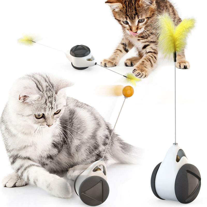 Funny Cat Swing Pet Toy