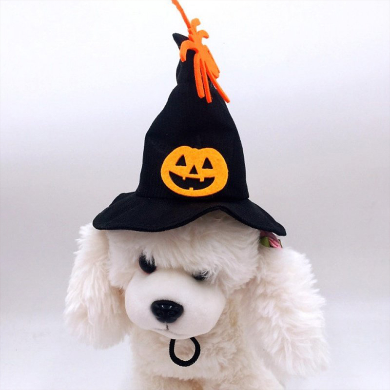 Halloween Cosplay Pet Hat and Scarf