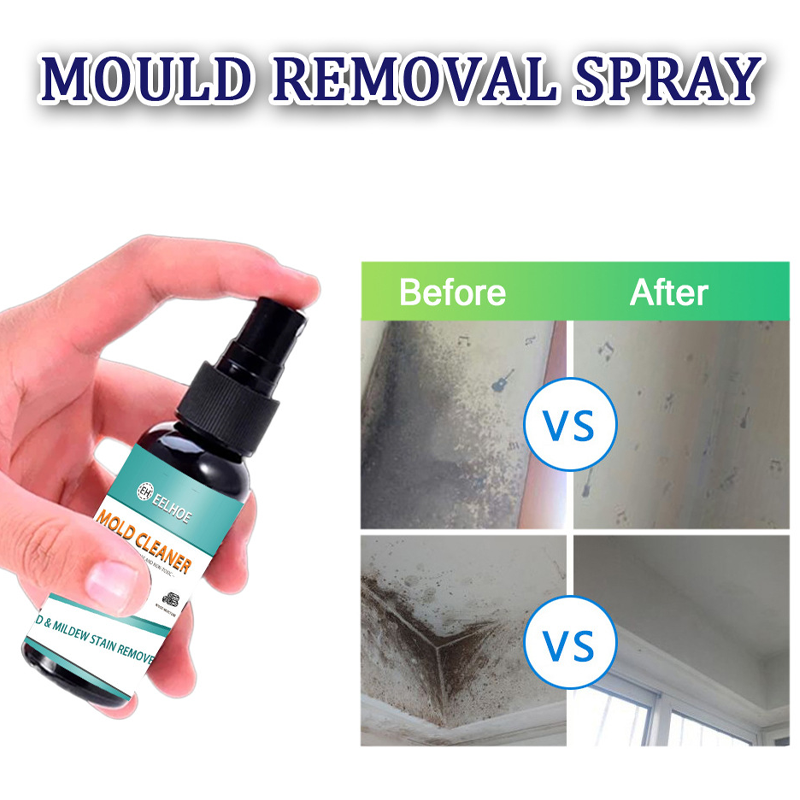 Household Mold Remover