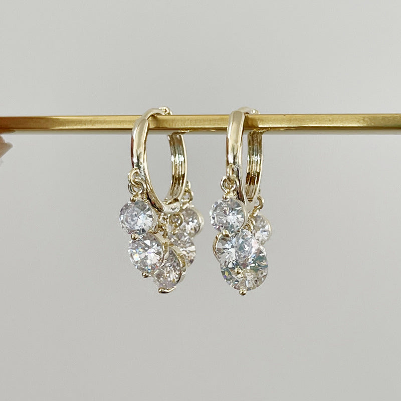 Shiny Diamon Drop Earrings