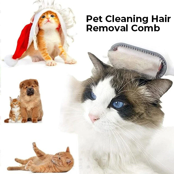 ✨🧸Pet Hair Removal Comb with Water Tank🧸✨