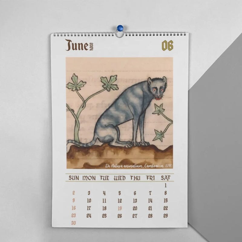 🐱2024 Weird Medieval Cats Calendar