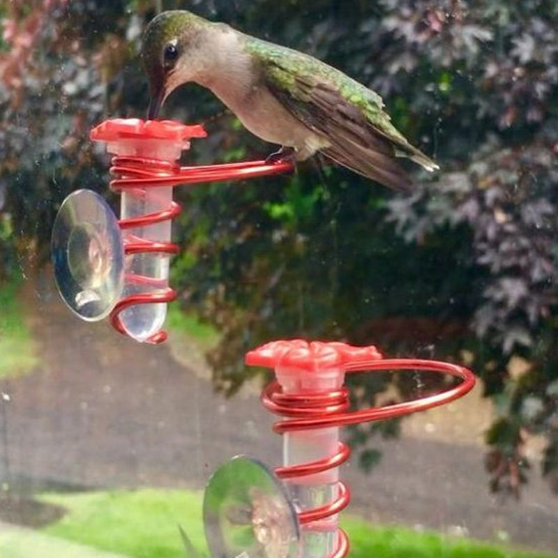 Window Hummingbird Feeder